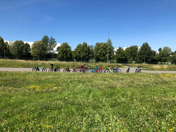 Workshop für Besitzer oder Interessierte